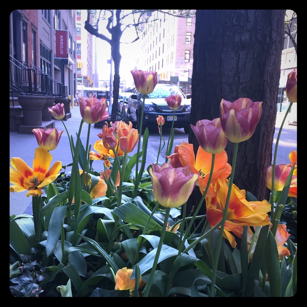 Meet your Posher, Sara